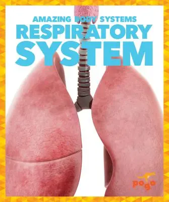 Dýchací soustava - Respiratory System