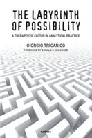 Labyrint možností: Terapeutický faktor v analytické praxi - The Labyrinth of Possibility: A Therapeutic Factor in Analytical Practice