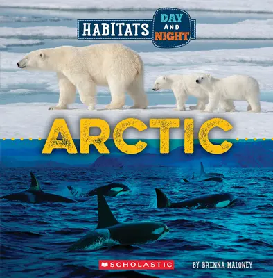 Arktida (Divoký svět: Denní a noční stanoviště) - Arctic (Wild World: Habitats Day and Night)