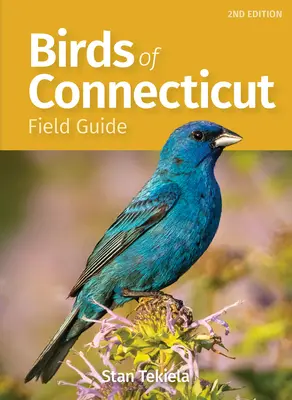 Terénní průvodce ptáky Connecticutu a Rhode Islandu - Birds of Connecticut & Rhode Island Field Guide
