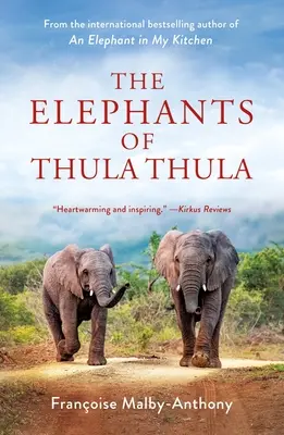 Sloni z Thula Thula - The Elephants of Thula Thula