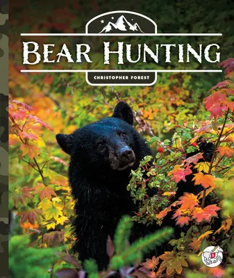 Lov medvěda - Bear Hunting