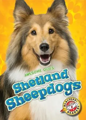 Shetlandští ovčáci - Shetland Sheepdogs