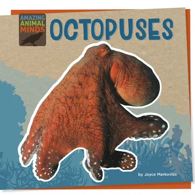 Chobotnice - Octopuses