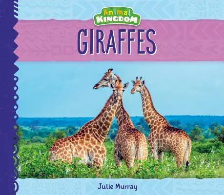 Žirafy - Giraffes