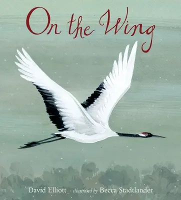 Na křídle - On the Wing