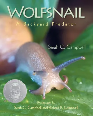 Vlkožrout: Dravec na dvorku - Wolfsnail: A Backyard Predator