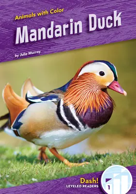Kachna mandarínská - Mandarin Duck