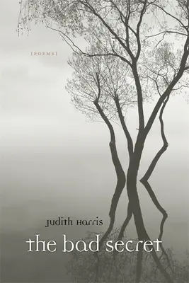 Zlé tajemství: Básně - Bad Secret: Poems