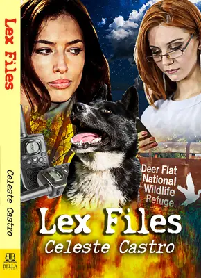 Soubory Lex - Lex Files