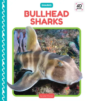 Žraloci s býčí hlavou - Bullhead Sharks