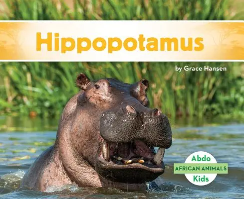 Hroch - Hippopotamus