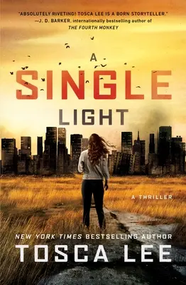 Jediné světlo: A Thriller: A Lightlight: A Thriller: A Thriller: A Thriller - A Single Light: A Thriller