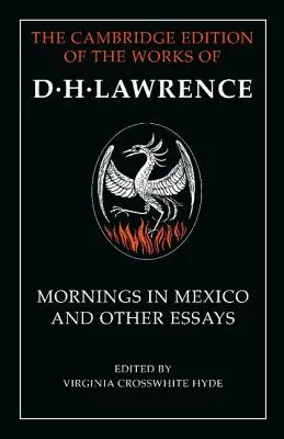 Ráno v Mexiku a jiné eseje - Mornings in Mexico and Other Essays