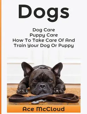 Psi: Péče o psy: Péče o štěně: Jak se starat o psa nebo štěně a jak je cvičit? - Dogs: Dog Care: Puppy Care: How To Take Care Of And Train Your Dog Or Puppy