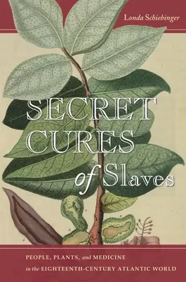 Tajné léky otroků: Lidé, rostliny a medicína v atlantickém světě osmnáctého století. - Secret Cures of Slaves: People, Plants, and Medicine in the Eighteenth-Century Atlantic World