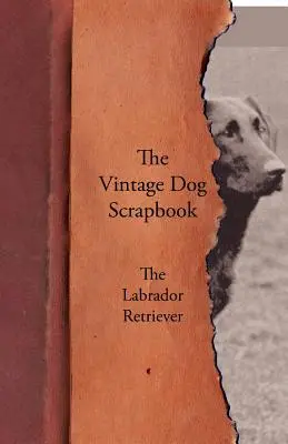 The Vintage Dog Scrapbook - Labradorský retrívr - The Vintage Dog Scrapbook - The Labrador Retriever