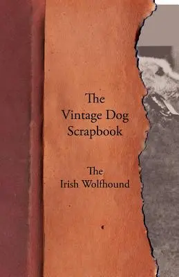The Vintage Dog Scrapbook - Irský vlkodav - The Vintage Dog Scrapbook - The Irish Wolfhound
