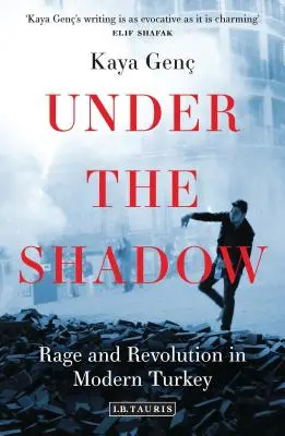Ve stínu: Vztek a revoluce v moderním Turecku - Under the Shadow: Rage and Revolution in Modern Turkey
