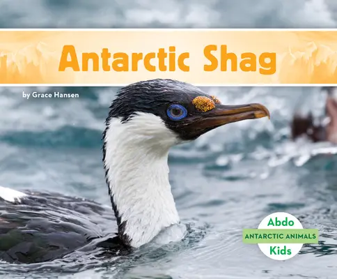 Antarktický chvostoskok - Antarctic Shag
