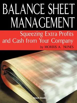 Bilanční řízení - Balance Sheet Management