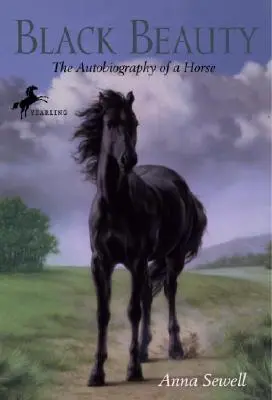 Černá krása - Black Beauty