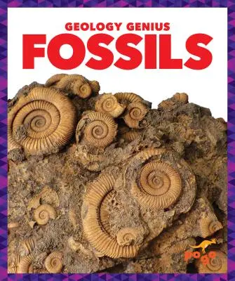 Zkameněliny - Fossils