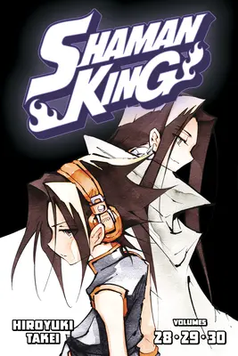 Shaman King Omnibus 10 (svazek 28-30) - Shaman King Omnibus 10 (Vol. 28-30)