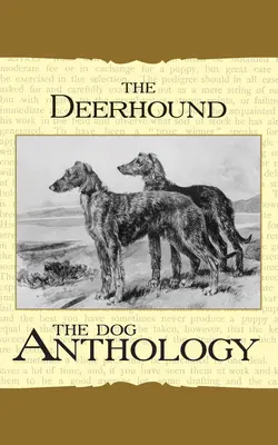Deerhound - psí antologie (A Vintage Dog Books Breed Classic) - The Deerhound - A Dog Anthology (A Vintage Dog Books Breed Classic)