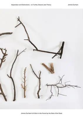 Jimmie Durham a hůl v lese u cesty: O želvách, bosonech a teorii - Jimmie Durham & a Stick in the Forest by the Side of the Road: Separation and Distinctions - On Turtles, Bosons and Theory