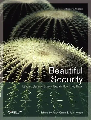 Krásné zabezpečení: Přední bezpečnostní experti vysvětlují, jak myslí - Beautiful Security: Leading Security Experts Explain How They Think
