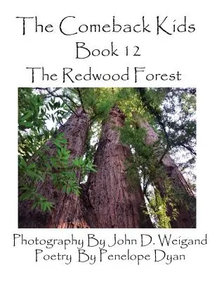 The Comeback Kids, Book 12, the Redwood Forest (Děti z návratu, kniha 12) - The Comeback Kids, Book 12, the Redwood Forest