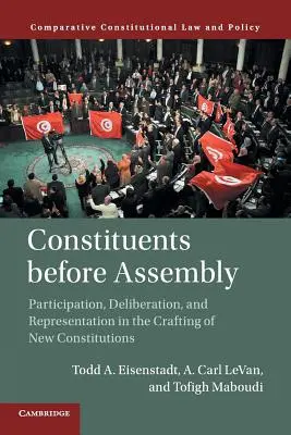 Voliči před shromážděním: Účast, projednávání a reprezentace při tvorbě nových ústav - Constituents Before Assembly: Participation, Deliberation, and Representation in the Crafting of New Constitutions