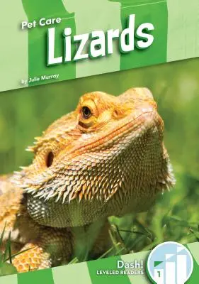 Ještěrky - Lizards