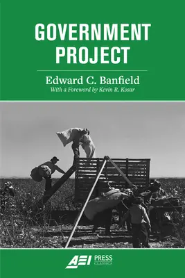 Vládní projekt - Government Project