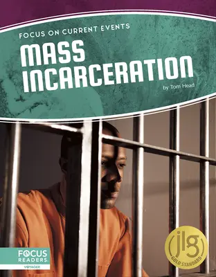Masové uvěznění - Mass Incarceration