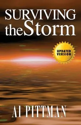 Přežít bouři - Surviving the Storm