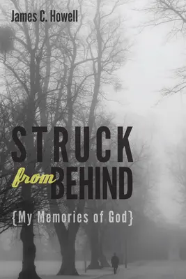 Zasažen zezadu: Moje vzpomínky na Boha - Struck from Behind: My Memories of God
