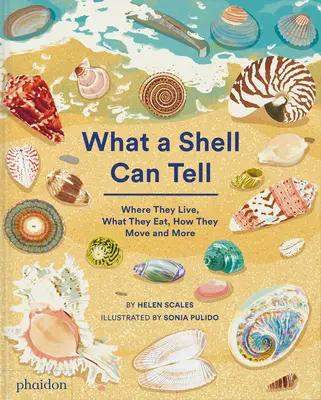 Co dokáže vyprávět mušle - What a Shell Can Tell