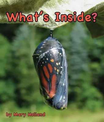 Co je uvnitř? - What's Inside?