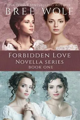 Zakázaná láska Box Set One: Novely 1 - 4 - A Forbidden Love Novella Box Set One: Novellas 1 - 4