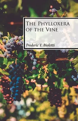 Fyloxera révy vinné - The Phylloxera of the Vine