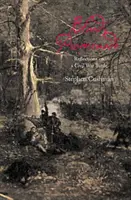 Krvavá promenáda: Úvahy o bitvě v občanské válce: Jak na to. - Bloody Promenade: Reflections on a Civil War Battle