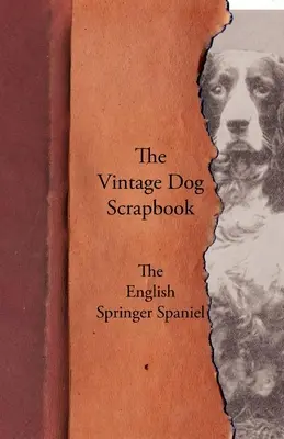 The Vintage Dog Scrapbook - Anglický špringršpaněl - The Vintage Dog Scrapbook - The English Springer Spaniel