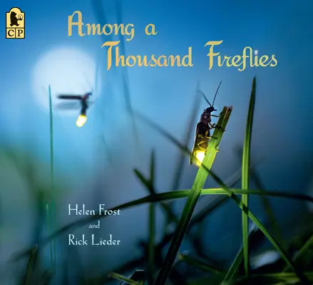 Mezi tisíci světluškami - Among a Thousand Fireflies