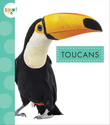 Tukani - Toucans