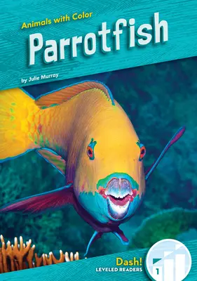 Papuchalk - Parrotfish