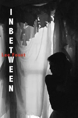 Inbetween: (Lyrický román) - Inbetween: (A Lyric Novel)