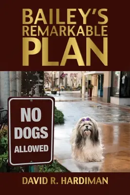 Baileyho pozoruhodný plán - Bailey's Remarkable Plan