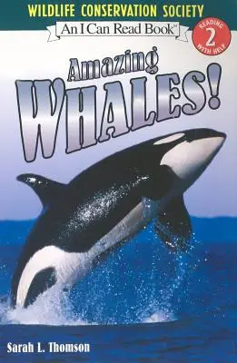 Úžasné velryby! - Amazing Whales!